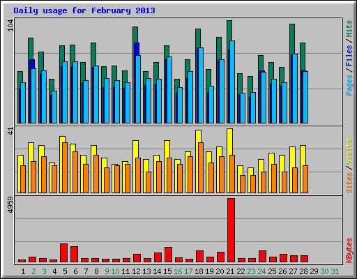 Daily usage for February 2013