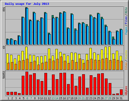 Daily usage for July 2013