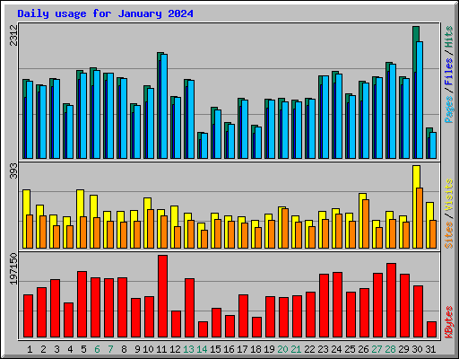 Daily usage for January 2024