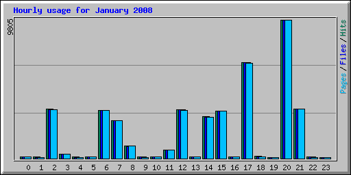 Hourly usage for January 2008