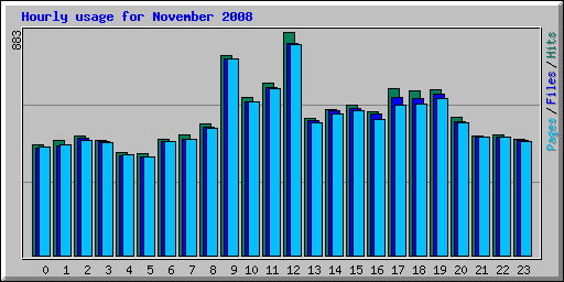 Hourly usage for November 2008