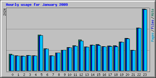 Hourly usage for January 2009