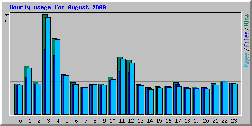 Hourly usage for August 2009