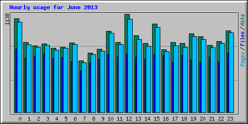 Hourly usage for June 2013