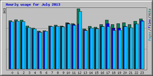 Hourly usage for July 2013
