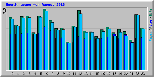 Hourly usage for August 2013