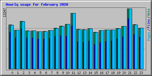 Hourly usage for February 2020