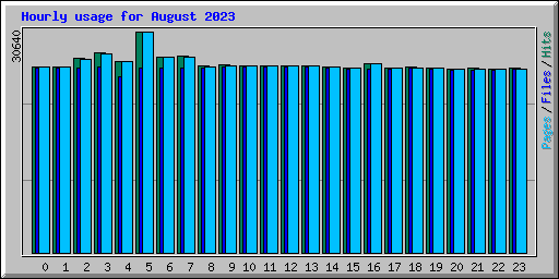 Hourly usage for August 2023