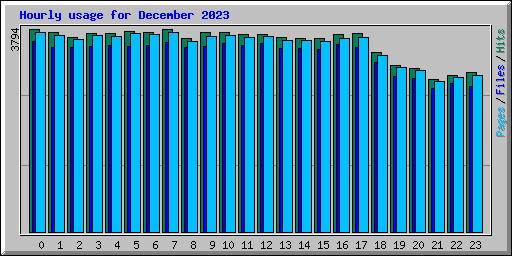 Hourly usage for December 2023