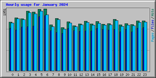 Hourly usage for January 2024