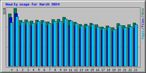 Hourly usage for March 2024