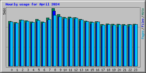 Hourly usage for April 2024