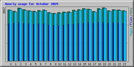 Hourly usage for October 2025