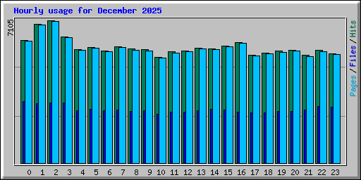 Hourly usage for December 2025