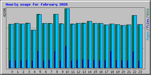 Hourly usage for February 2026